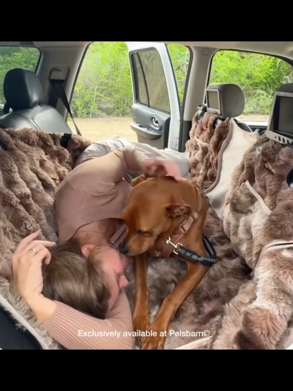 Plush Brown Dog Car Seat Cover by - Luxury Backseat Protector